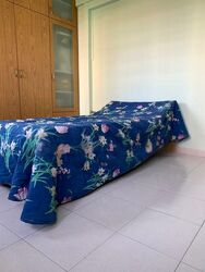 Blk 12 Golden Beach Vista (Kallang/Whampoa), HDB 5 Rooms #463188241